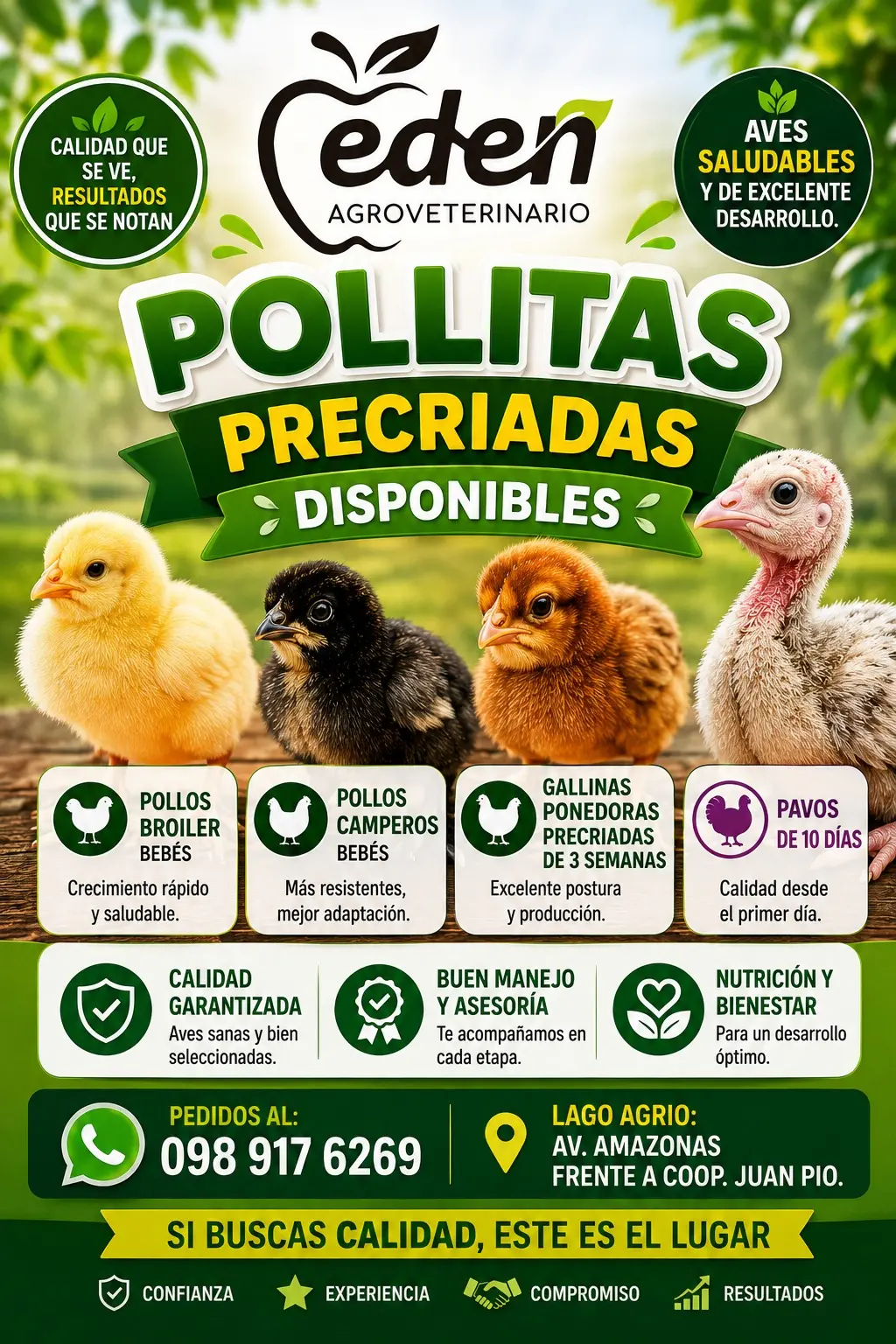 Catálogo Agro Edén-Corp. SAS N.° 13: productos de balanceados y agroinsumos, Lago Agrio